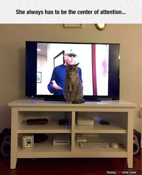 Center Of Attention