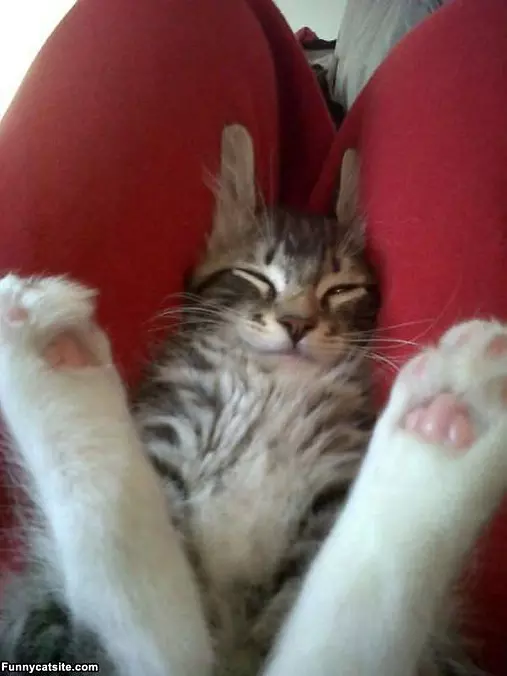 Sleep With My Feet Up
