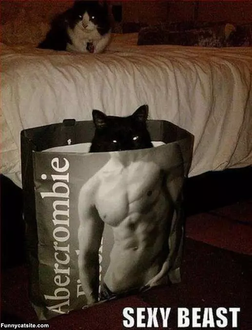 Sexy Beast