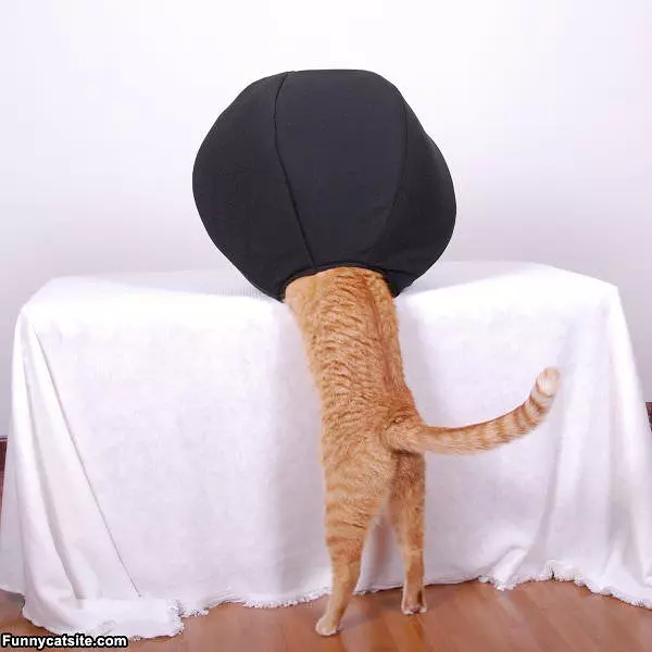 I Cant See Anything