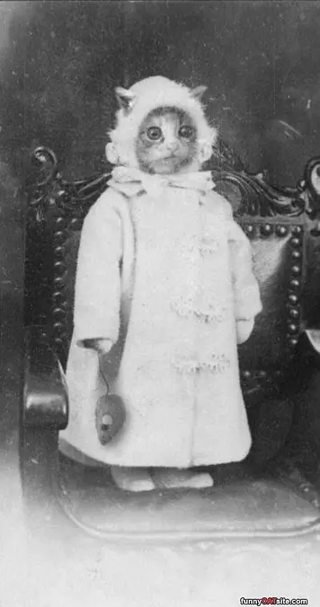 A Very Old Photo