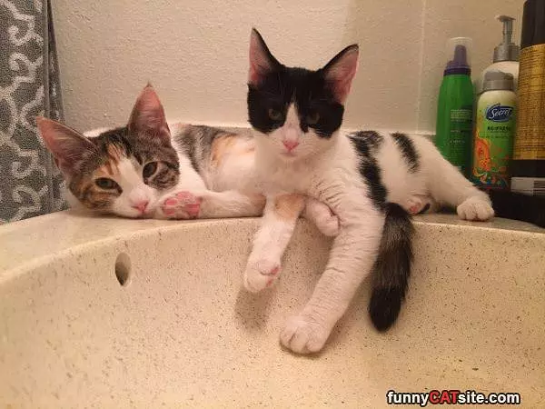 Sitting On The Sink