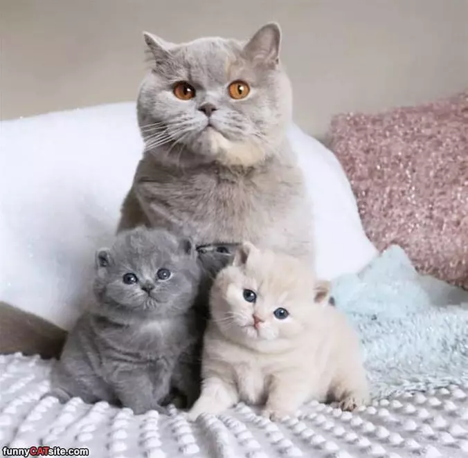 Sitting With My Kids