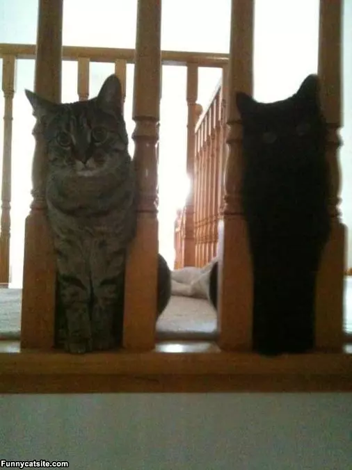Statues