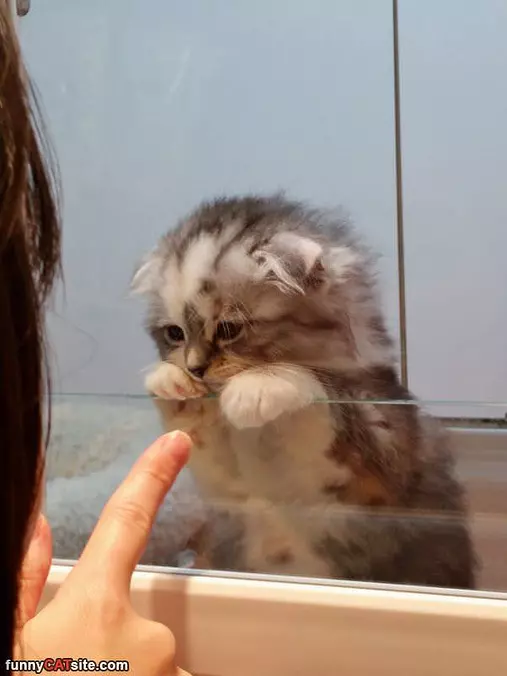 So Stinking Cute
