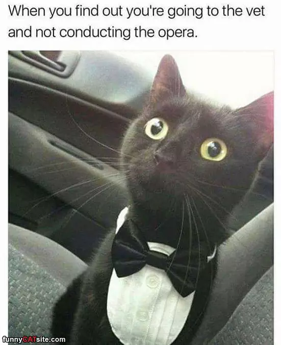 Going Where Now