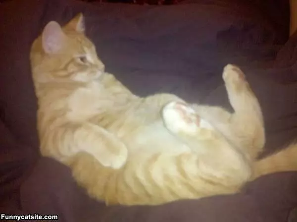 Having A Lazy Day