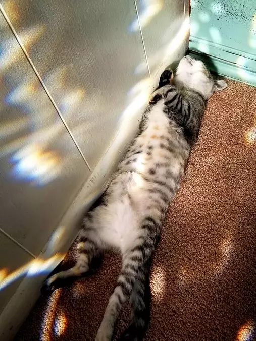 I Am Tired
