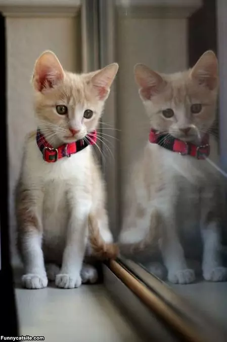 I Want To Go Outside