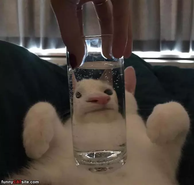 Nice Glass