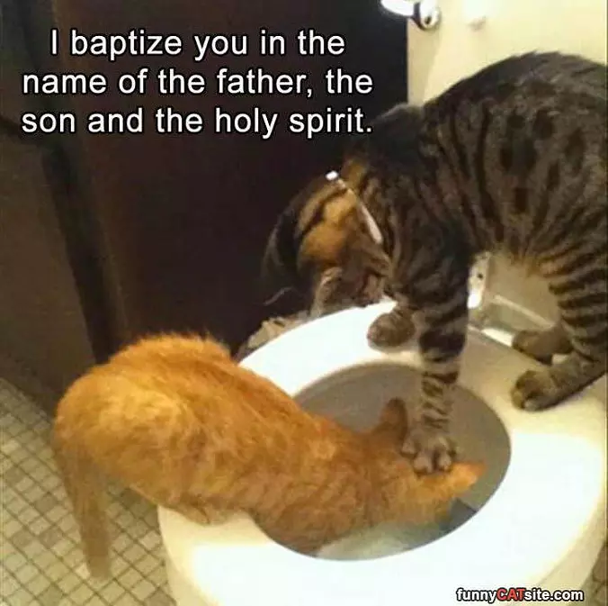 The Holy Spirit