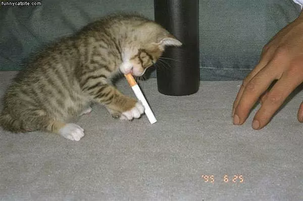 Smoking