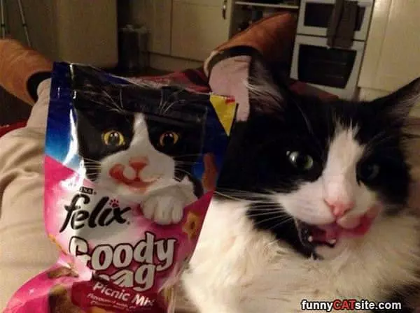 Look So Alike
