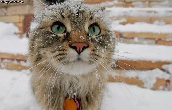 Its Snowing