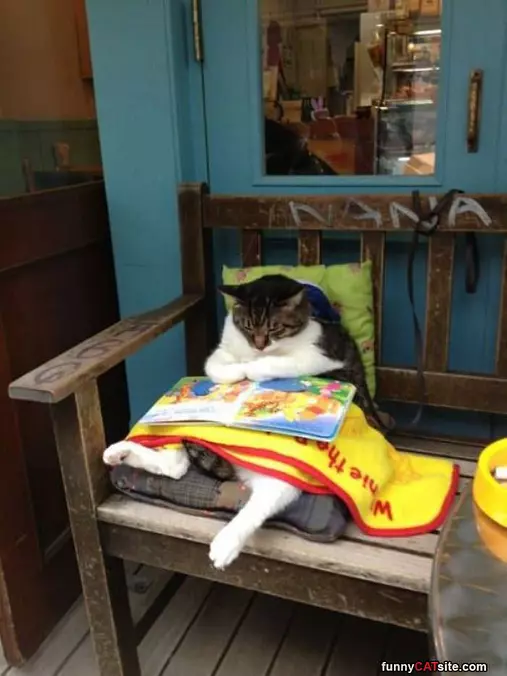 Reading A Great Book