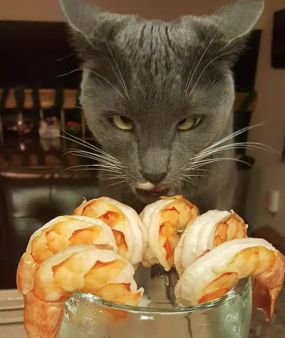 These Shrimp Look Good