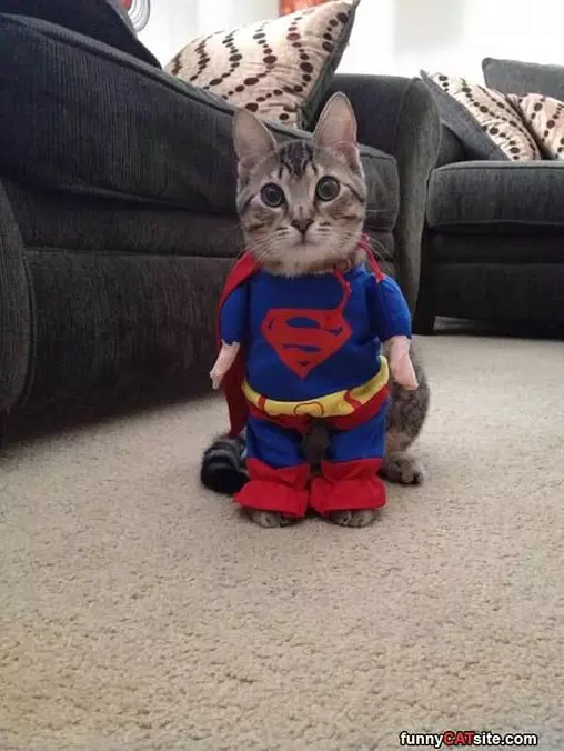 Supercat