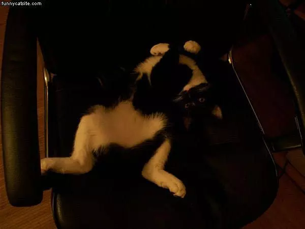 Comfy