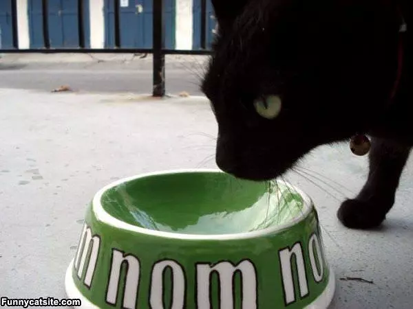 Nomnomnom Bowl