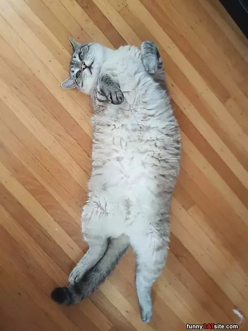 Stretch Stretch