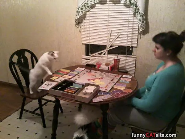 Playing Some Monopoly
