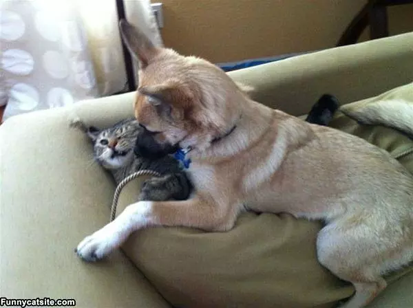 Get Off Me Right Now
