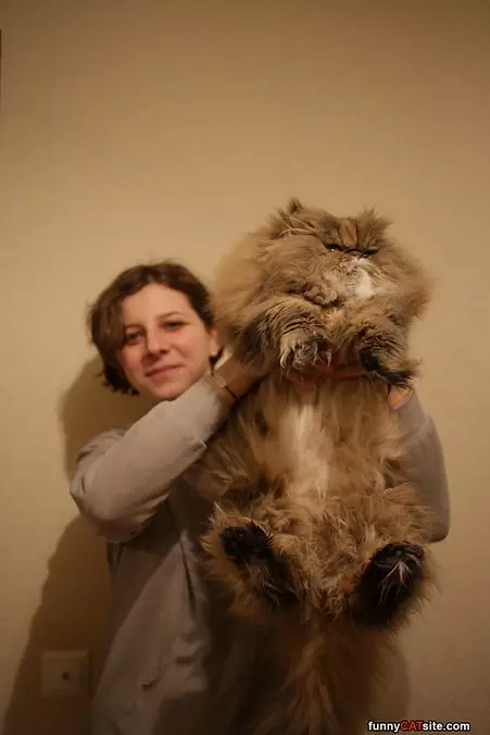 I Am Fluffy