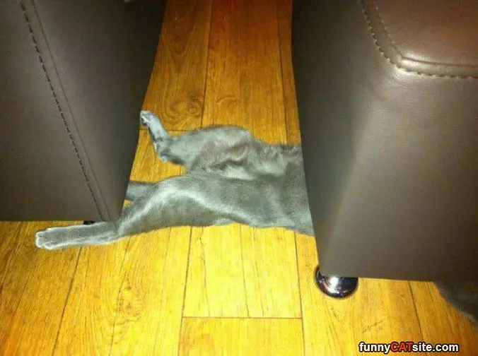 I Sleep Here