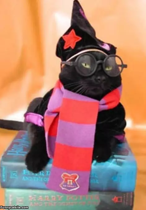 Studious