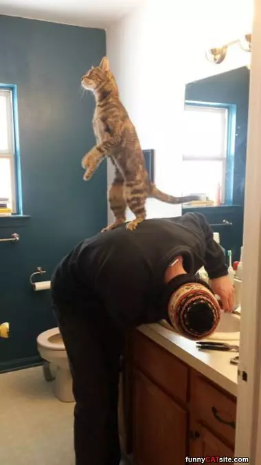 Climbing High
