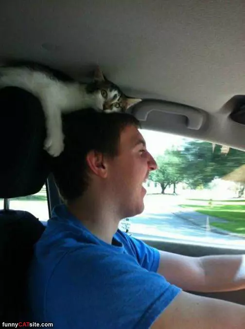 This Is How I Roll