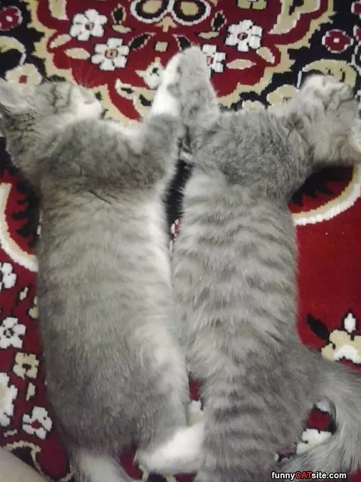 We Sleep And Give High 5s