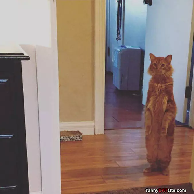 Standing Very Tall