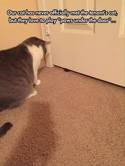 Introductions