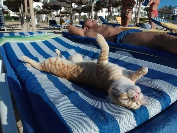 Enjoying The Sun
