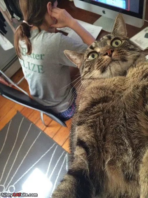 Selfie Time