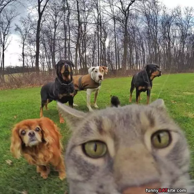 Taking A Selfie