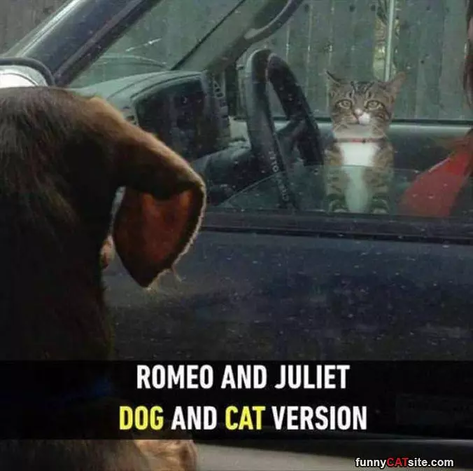 Romeo And Juliet
