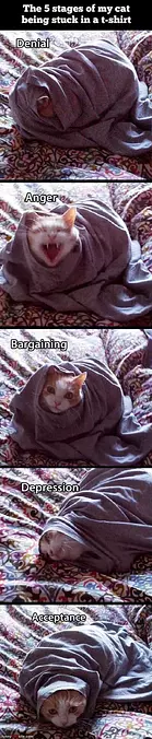 I Am Stuck In The Shirt
