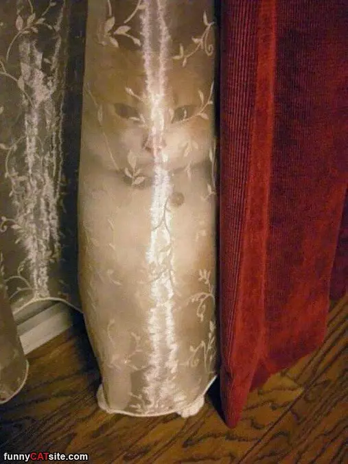 Behind The Curtain