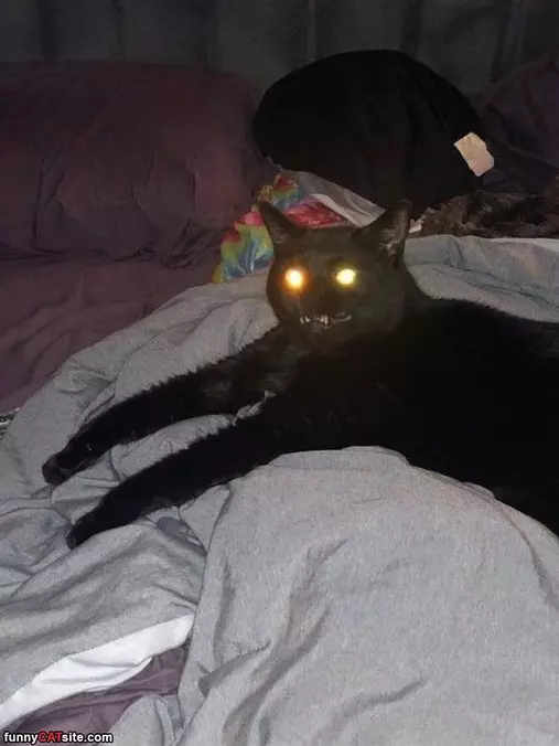 Fully Charged