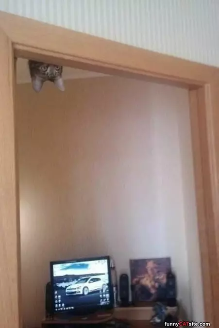 Peaking In