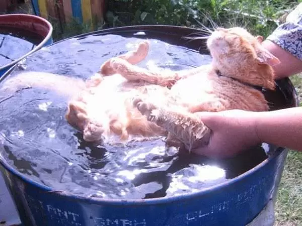Bath Time