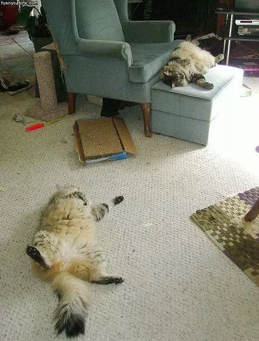 Mirror Pass Out