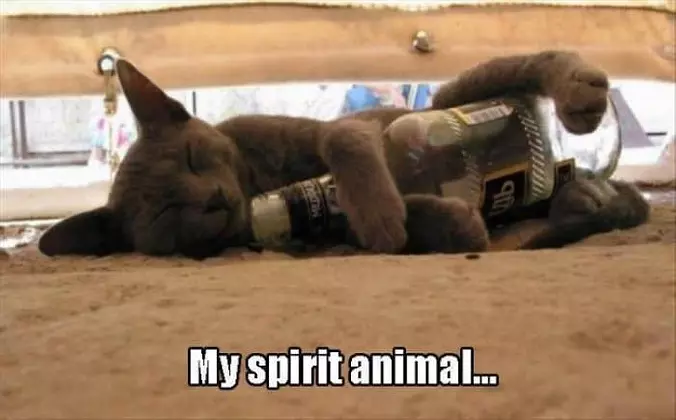I Found My Spirit Animal