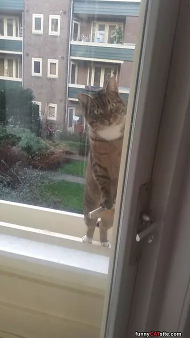 Hey Guys Let Me In