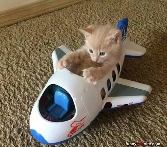 Go Faster
