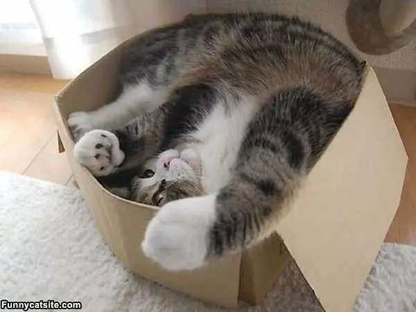 I Love Boxes