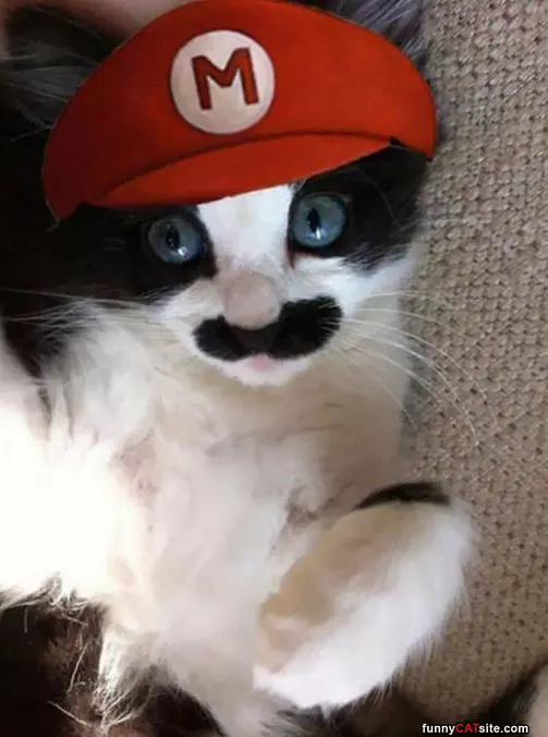 Super Mario Cat