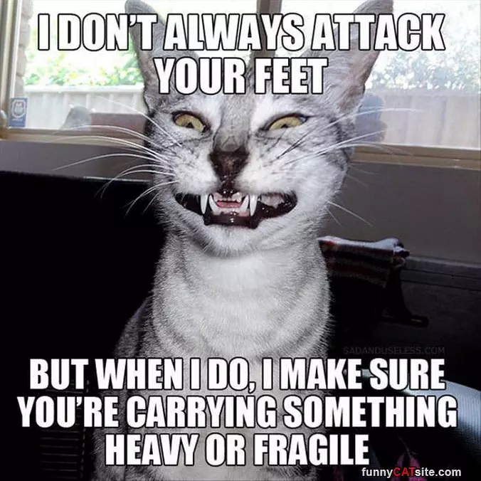 Attacking Your Feet